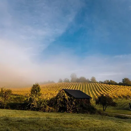 Luxury Safari Tents For Family Getaway Set Within The Grounds Of A Vineyard In Slovenia Nyaraló *